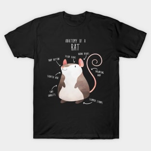 Anatomy of a Rat T-Shirt